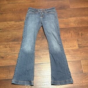 Cinch Women's Blue Flare Jeans